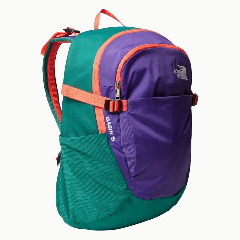Рюкзак TNF Basin 15L